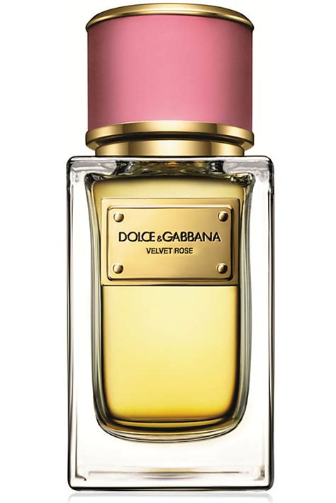 dolce gabbana perfume woman|dolce and gabbana unisex fragrance.